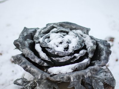 Железная роза в снегу